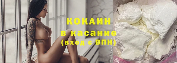 эйфоретик Няндома