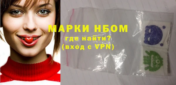 эйфоретик Няндома