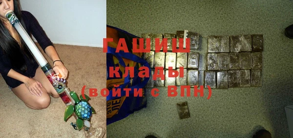 эйфоретик Няндома