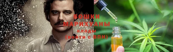 эйфоретик Няндома