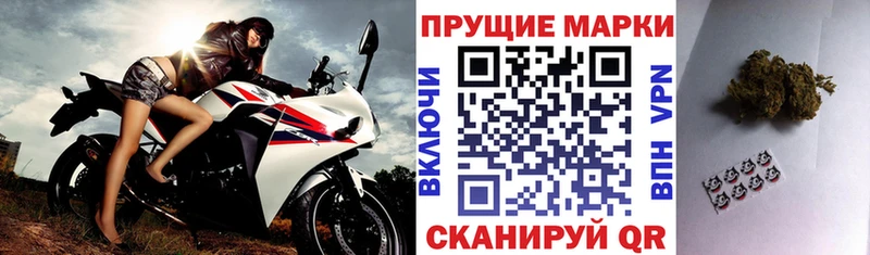 Марки N-bome 1,8мг Заполярный
