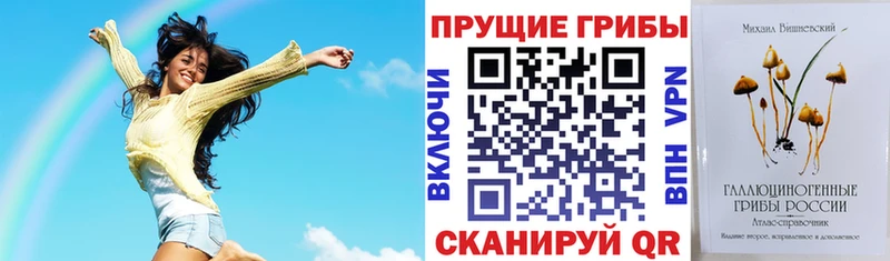 гидра как войти  Заполярный  Псилоцибиновые грибы MAGIC MUSHROOMS 